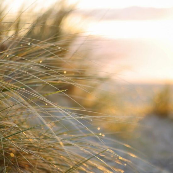 AdobeStock_433111849-NEU.jpg.pagespeed.ce.yRzxbOcvSC