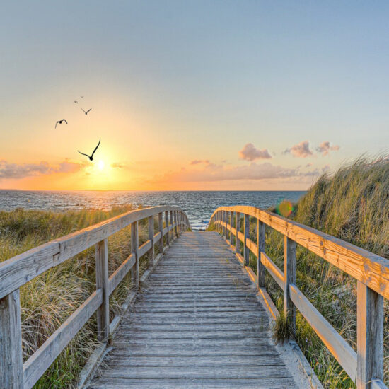 CREATOR: gd-jpeg v1.0 (using IJG JPEG v62), quality = 82